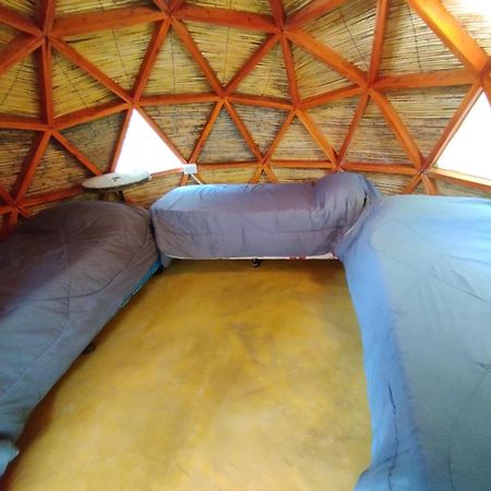 Auberge de jeunesse Casa Arbol Domos à Cafayate Extérieur photo