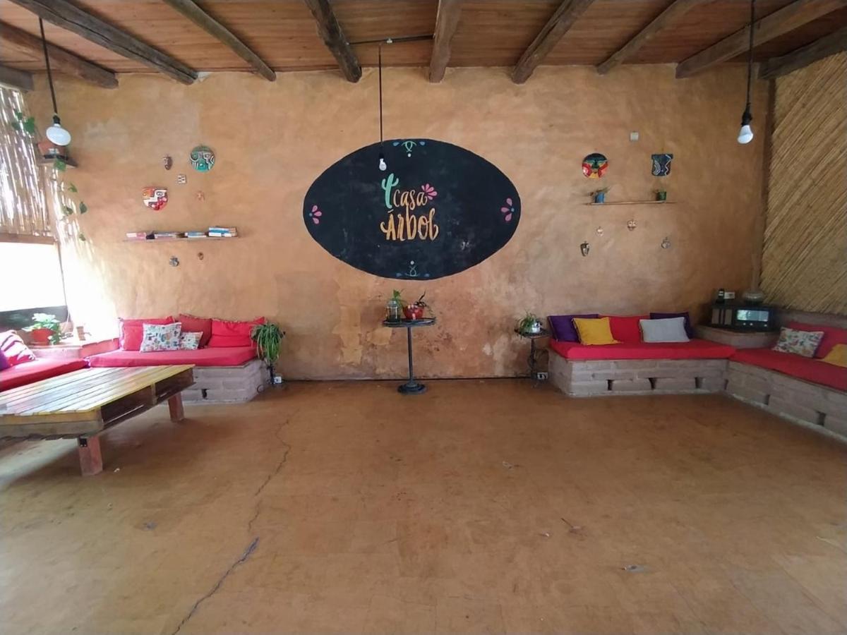 Auberge de jeunesse Casa Arbol Domos à Cafayate Extérieur photo